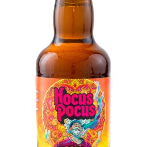 Cerveja Hocus Pocus Orange Sunshine 500ml
