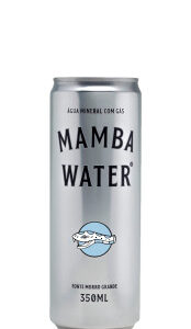 Água Mineral Com Gás Mamba Water 350ml