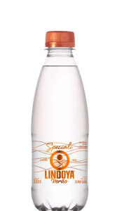 Água Mineral Lindoya Verão Speciali Com Gás 300ml