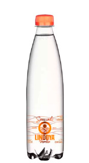 Água Mineral Lindoya Verão Speciali Com Gás 500ml