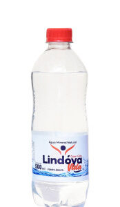 Água Mineral Lindóya Vida Com Gás 500ml