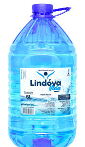Água Mineral Lindóya Vida Sem Gás 6L