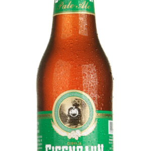 Cerveja Eisenbahn Pale Ale Long Neck 355 ml