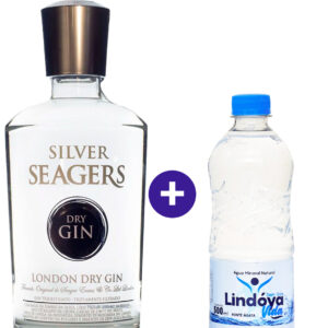 Combo Gin Silver Seagers Dry 750ml + Água Mineral Lindóya Sem Gás 500ml