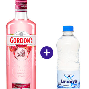 Combo Gin Gordon's Pink 700ml + Água Mineral Lindóya Sem Gás 500ml