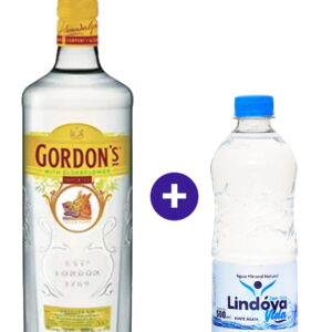 Combo Gin Gordon's Elderflower 700ml + Água Mineral Lindóya Sem Gás 500ml