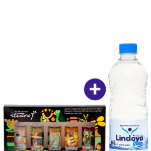 Combo Kit de Miniatura Cachaçaria Ituana 5 Unidades + Água Mineral Lindóya Sem Gás 500ml