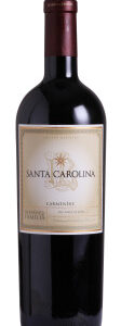 Vinho Santa Carolina Reserva de Família Carmenere 750 ml