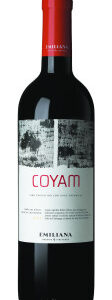 Vinho Emiliana Coyam 750 ml
