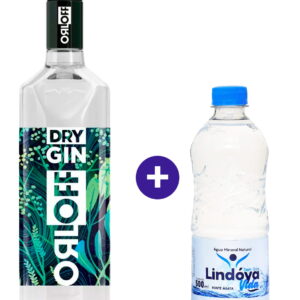 Combo Gin Dry Orloff 1L + Água Mineral Lindóya Sem Gás 500ml
