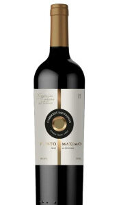Vinho Punto Máximo Gran Reserva Cabernet Sauvignon 750 ml