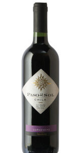 Vinho Paso Del Sol Carmenere 750ml