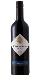 Vinho Paso Del Sol Merlot 750ml