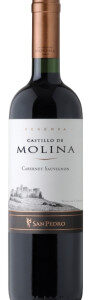 Vinho Castillo de Molina Cabernet Sauvignon 750 ml