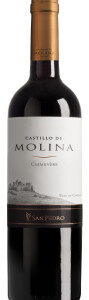 Vinho Castillo de Molina Carmenere 750 ml