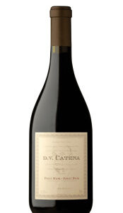 Vinho D.V. Catena Tinto Pinot Noir Pinot Noir 750ml