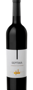 Vinho Septima Cabernet Sauvignon 750 ml